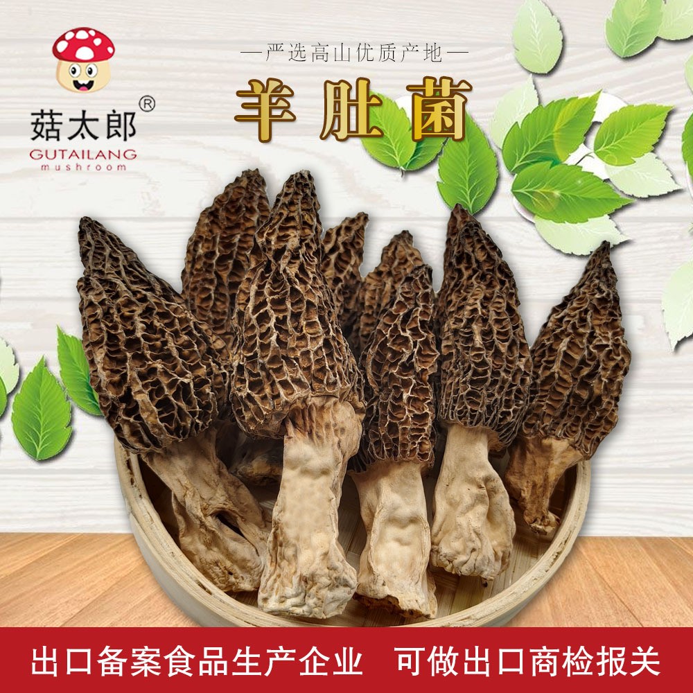 菇太郎批发羊肚菌原产地头茬羊肚菌干货散装 现货批发可出口商检