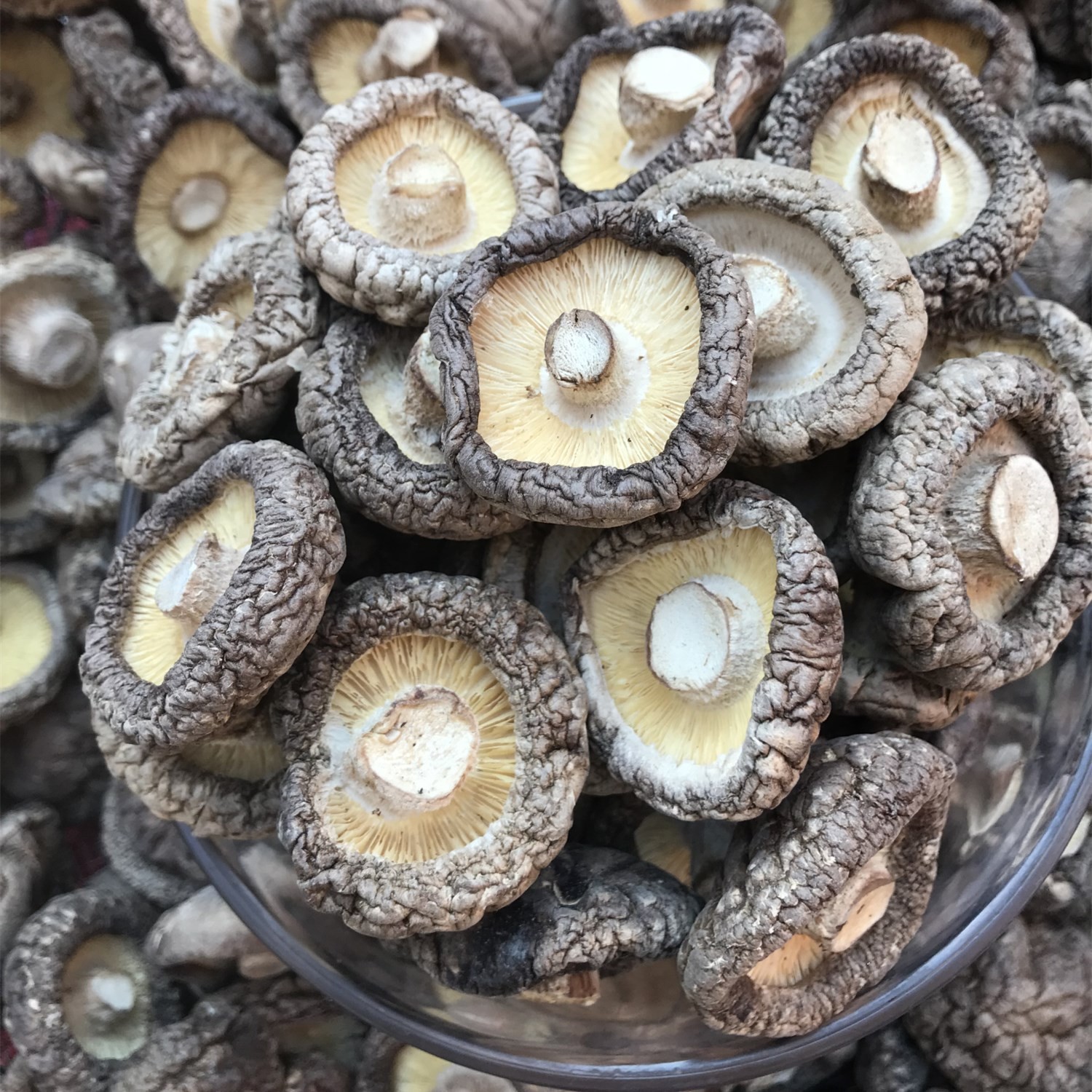 西峡香菇干货500g产地直发冬厚菇薄菇香信批发散装香菇干剪角新货图5