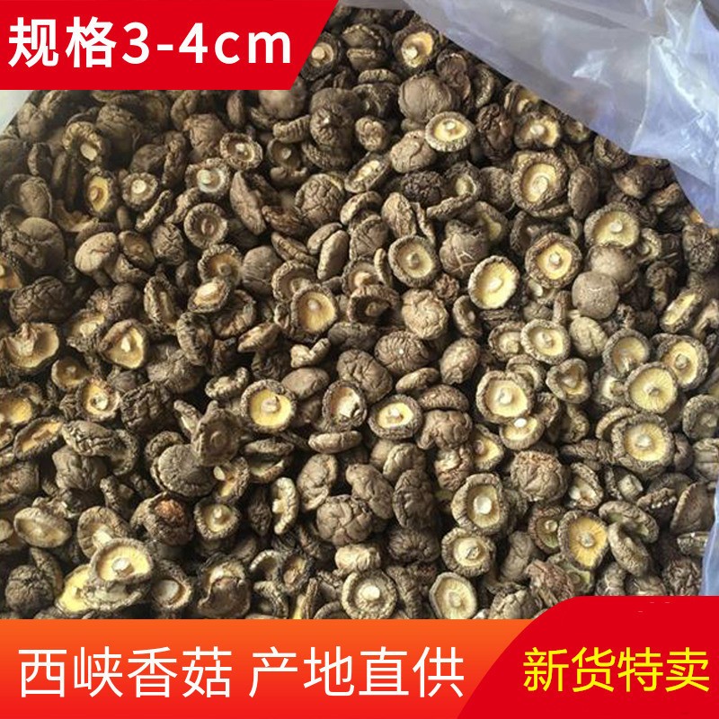 （厂家直发）仲景香菇酱16g装原味香辣辣辣队产地发货蘑菇香辣酱图5