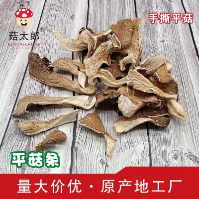 菇太郎平菇干货食用菌凤尾菇白平菇菌片蘑菇片干平菇条块新货冬菇