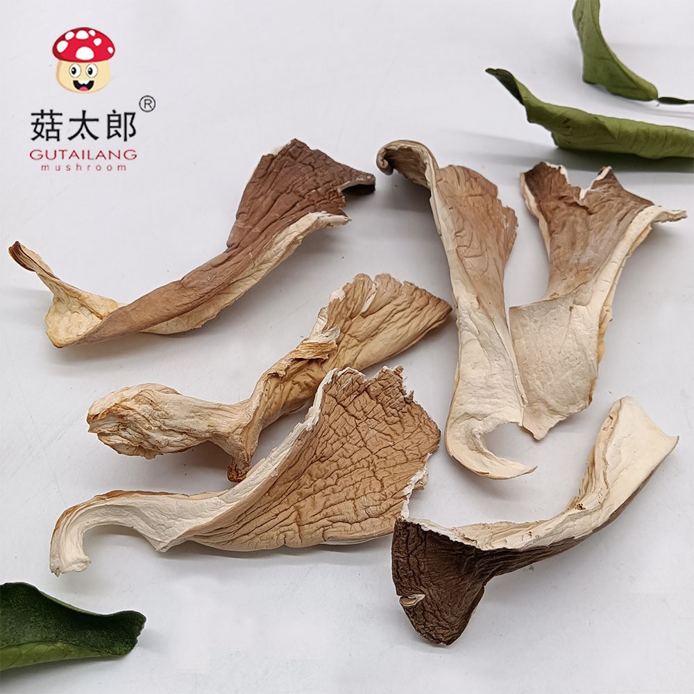 菇太郎平菇干货食用菌凤尾菇白平菇菌片蘑菇片干平菇条块新货冬菇图2