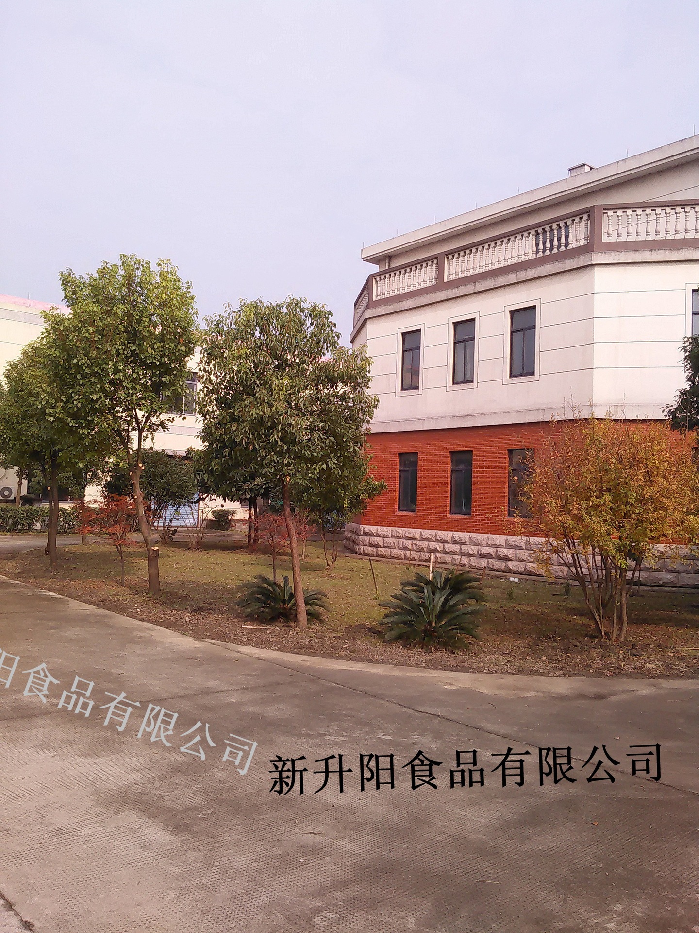 IMG20151130112630