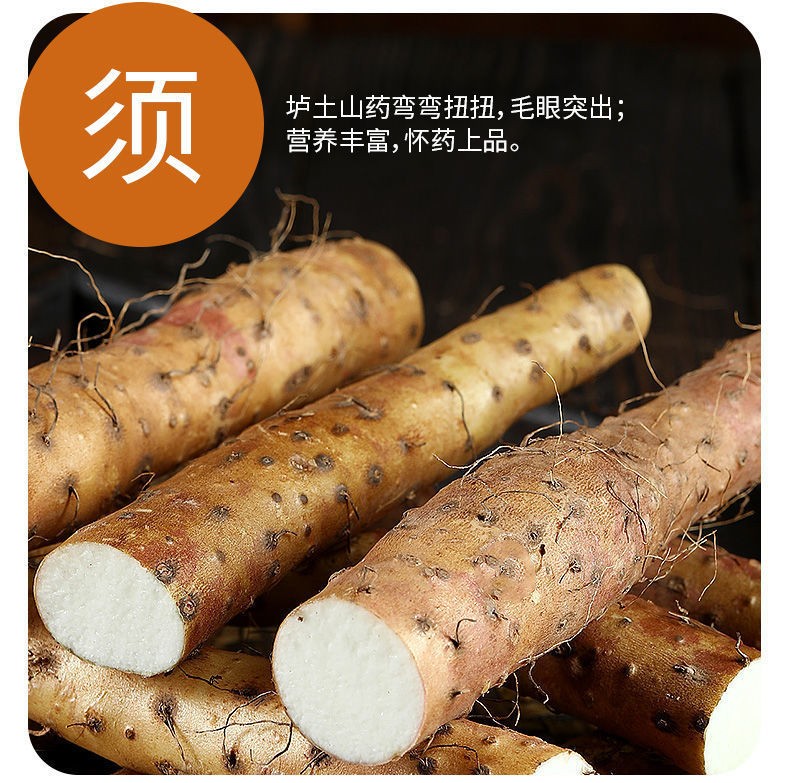 温县铁棍山药新鲜正宗河南焦作特产怀山药垆土非淮山药特批发产地图5