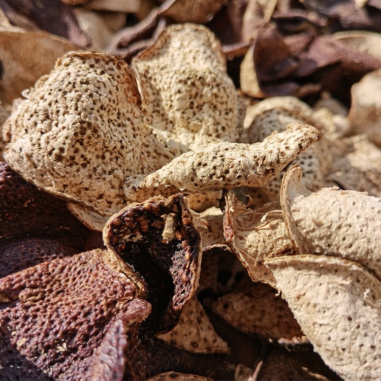 广东陈皮正宗新会老陈皮十年陈散装批发陈皮整皮中药材陈皮干生晒图2