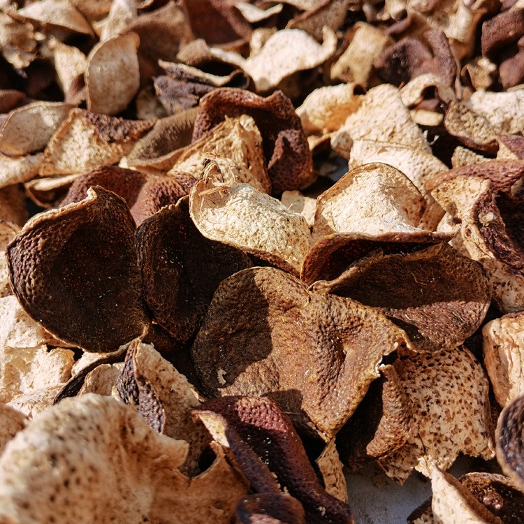 广东陈皮正宗新会老陈皮十年陈散装批发陈皮整皮中药材陈皮干生晒图5
