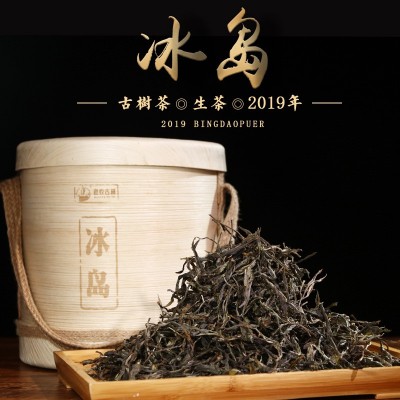 头春冰岛野韵古树生普洱茶私藏散装茶叶蜜兰花香厂家批发老农古林