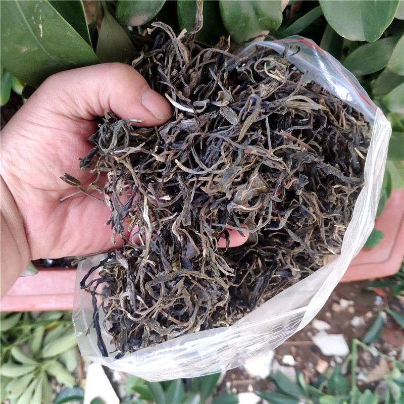 厂价批发云南普洱茶生茶 2022年早春临沧小树茶散装500克茶叶袋装图3