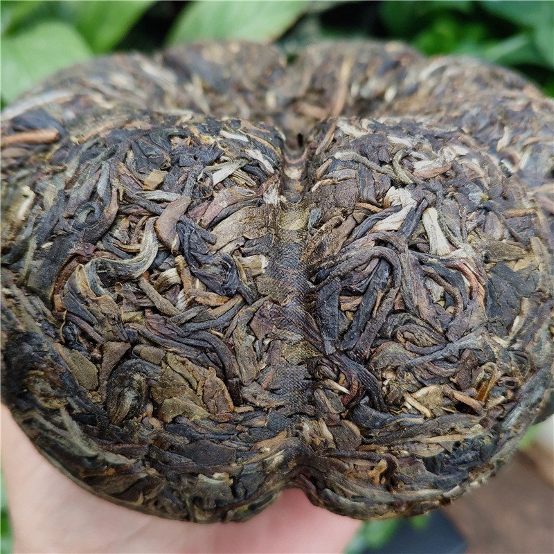 厂家大货批发1000克景迈金瓜贡茶云南普洱生茶美人头瓜茶纯料茶叶图3