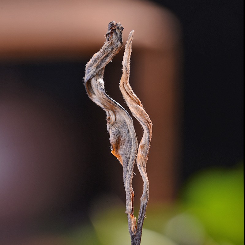 源头厂家茶叶春茶云南普洱茶普洱生茶普洱茶散茶非古树原料生普茶图2