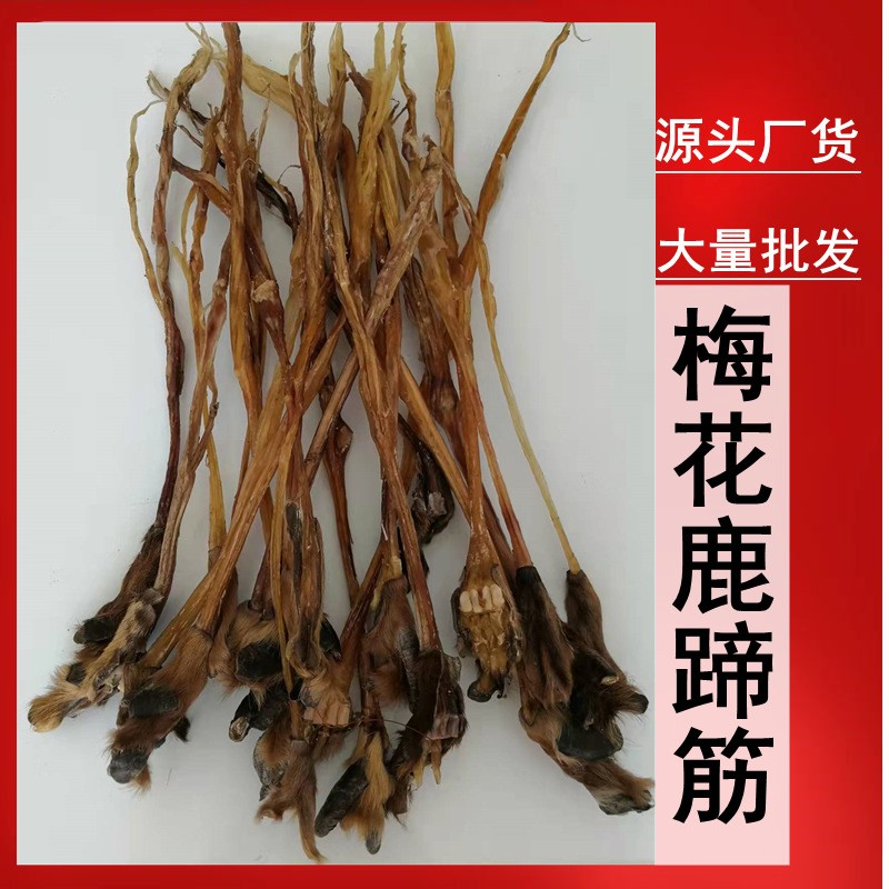 鹿筋 干鹿筋 梅花鹿蹄 批发 煲汤泡酒
