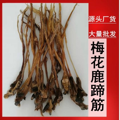 鹿筋 干鹿筋 梅花鹿蹄 批发 煲汤泡酒