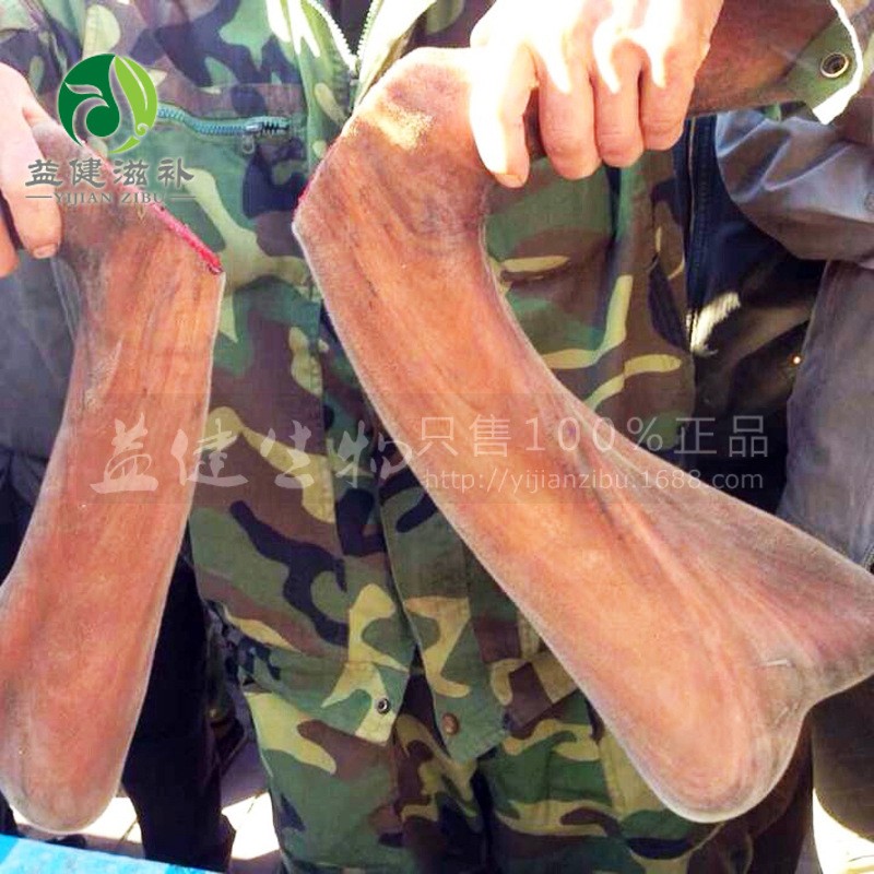 [益健]梅花鹿 鹿茸 可切连刀当年精壮梅花鹿 整枝 鹿场直销图2