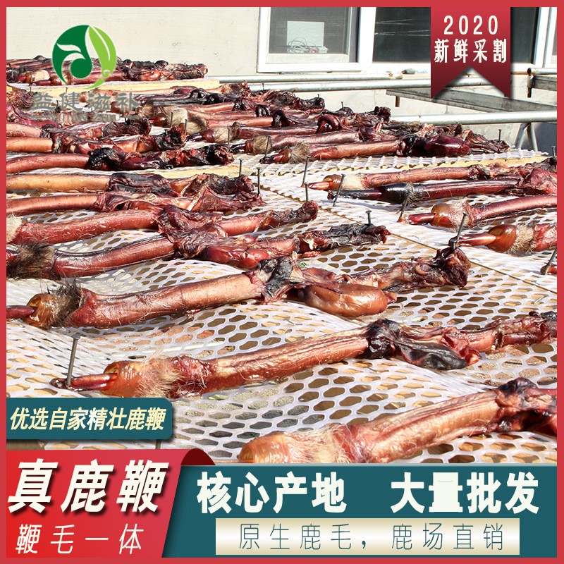 [益健]整枝壮鹿鞭90克 东北特产原枝鹿鞭 螺旋鞭纹 可打粉 批发图4