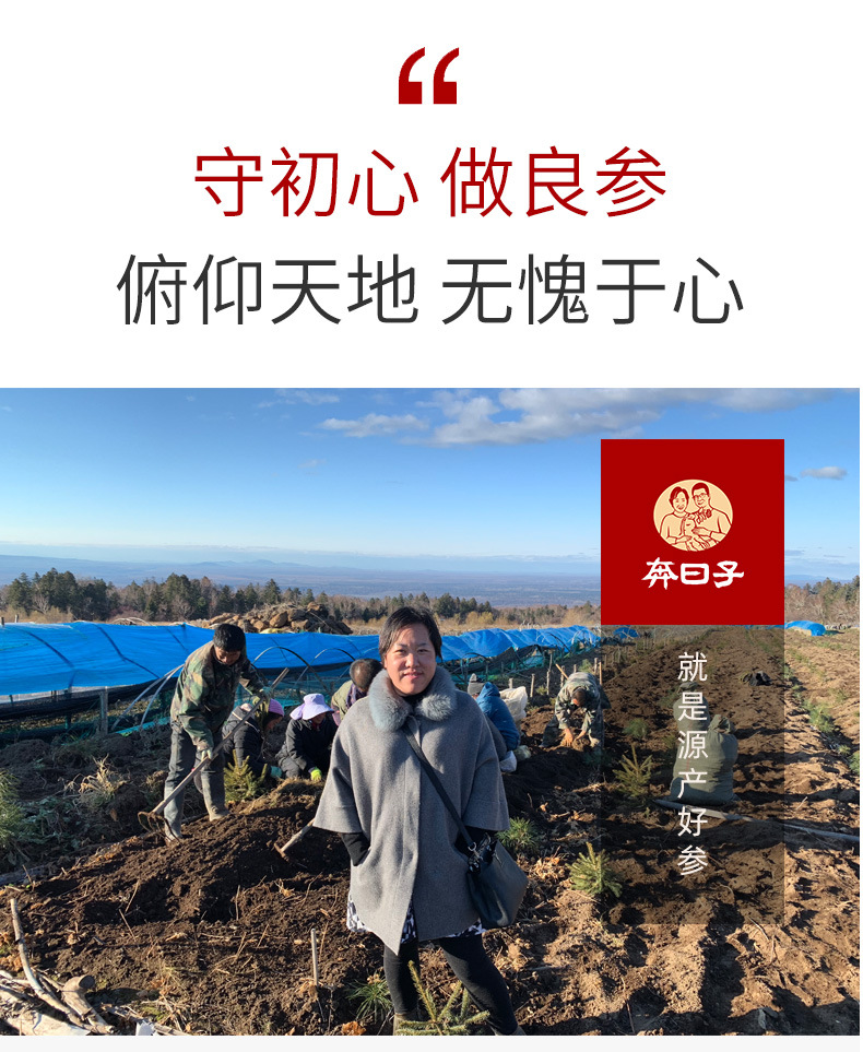 红参片有机_05.jpg