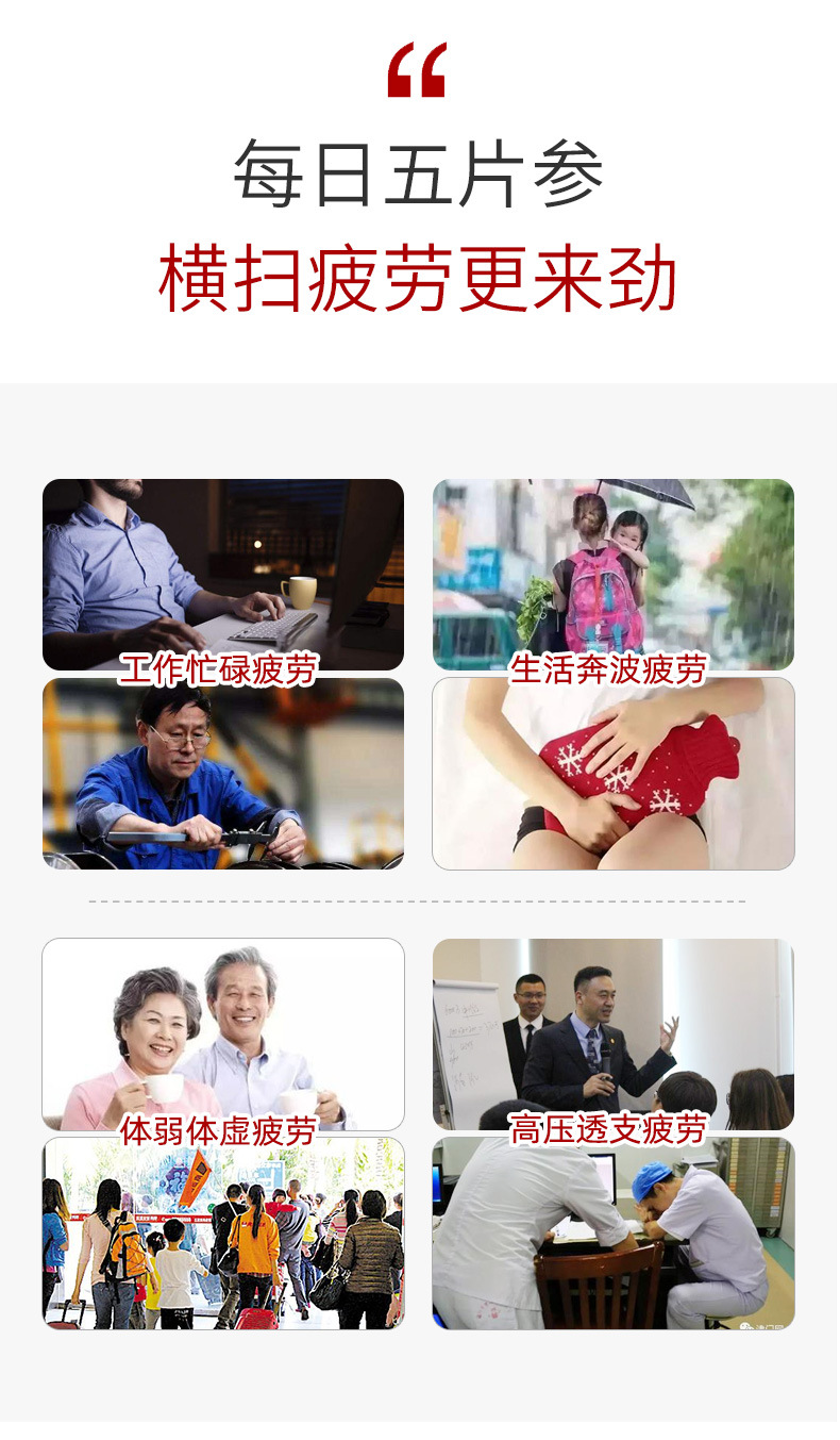 红参片有机_04.jpg