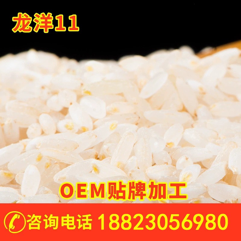 有机胚芽米代加工OEM贴牌定制源头厂家东北五常大米原粮图2