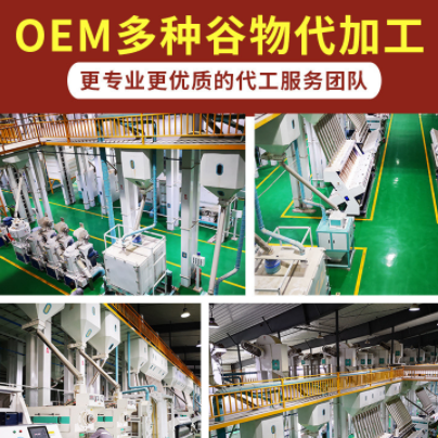 新胚芽米五谷7日多元谷物胚芽米原料源头厂家五常OEM代加工定制图3