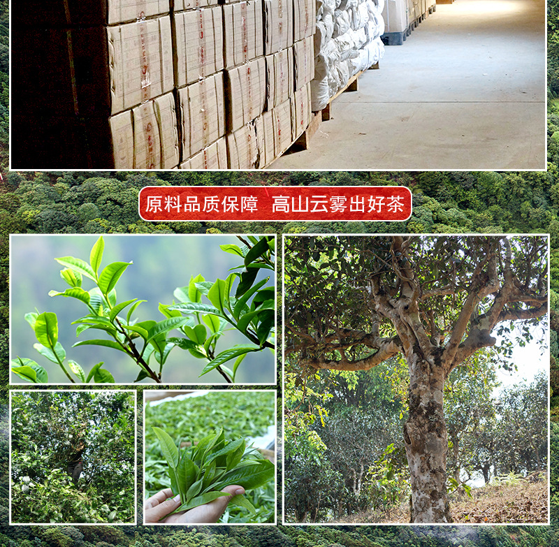 下载_04
