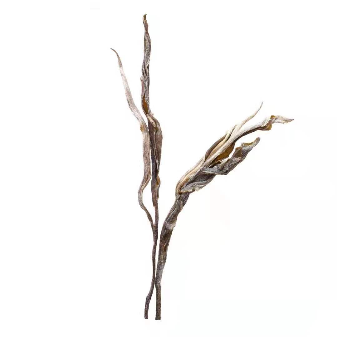 18年景迈生态生茶　乔木春茶一口料景迈山云南普洱茶批发散茶茶叶图5