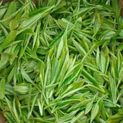 信阳毛尖雨前后期炒青绿茶春茶 源产地直销批发