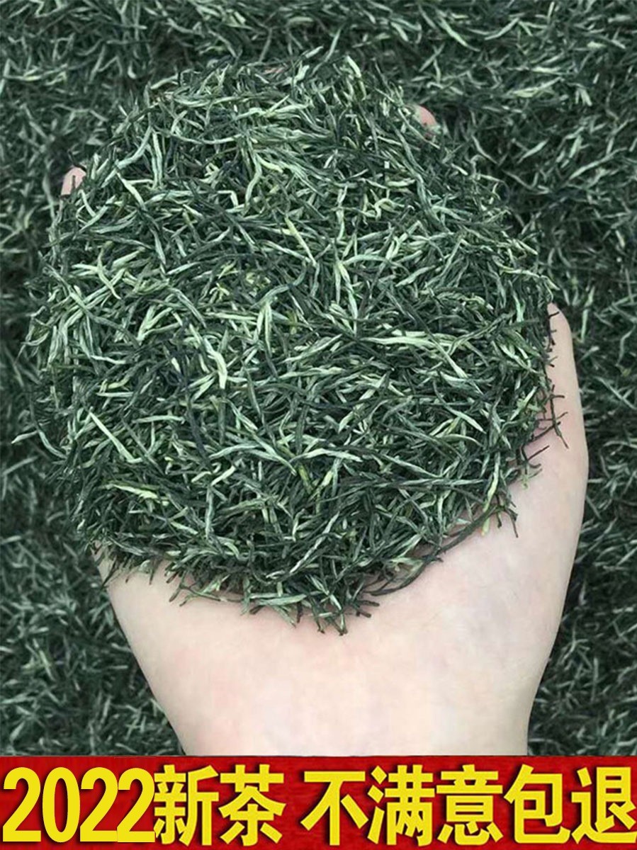 批发毛尖绿茶2022新茶信阳毛尖明前嫩芽高山春茶自产自销茶叶500g图2