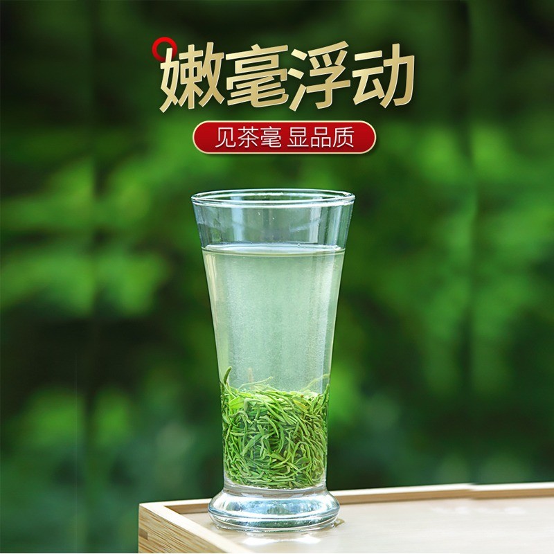 批发茶叶信阳毛尖2022新茶雨前春茶浓香耐泡高山绿茶手工春茶500g图3