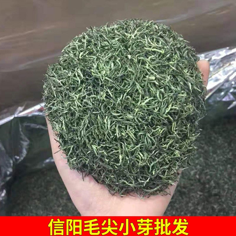 批发茶叶信阳毛尖小芽2022雨前嫩芽高山浓香炒青手工毛尖芽茶500g