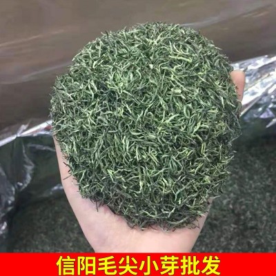 批发茶叶信阳毛尖小芽2022雨前嫩芽高山浓香炒青手工毛尖芽茶500g