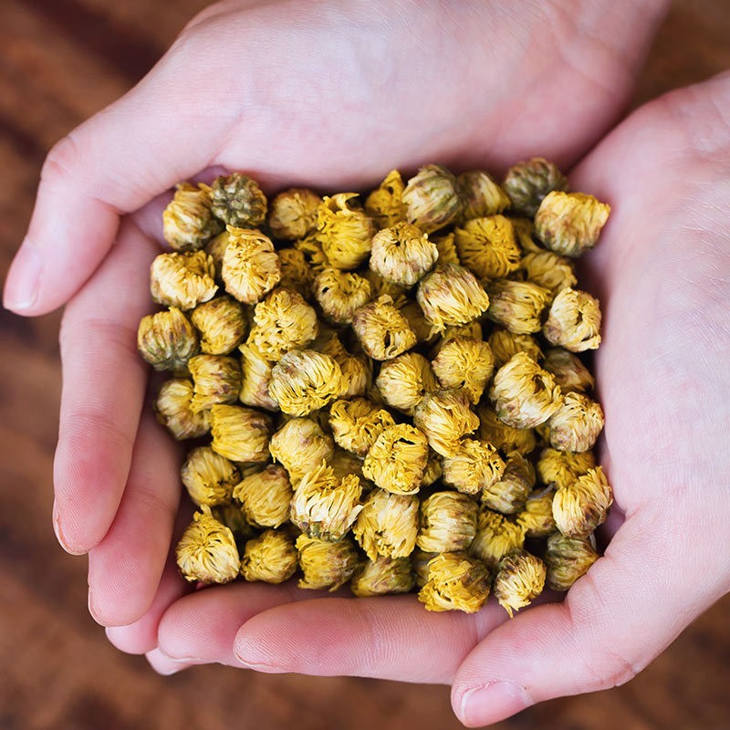 批发花茶艺福堂胎菊罐装花茶正宗桐乡胎菊杭白菊厂家直销 包邮图3
