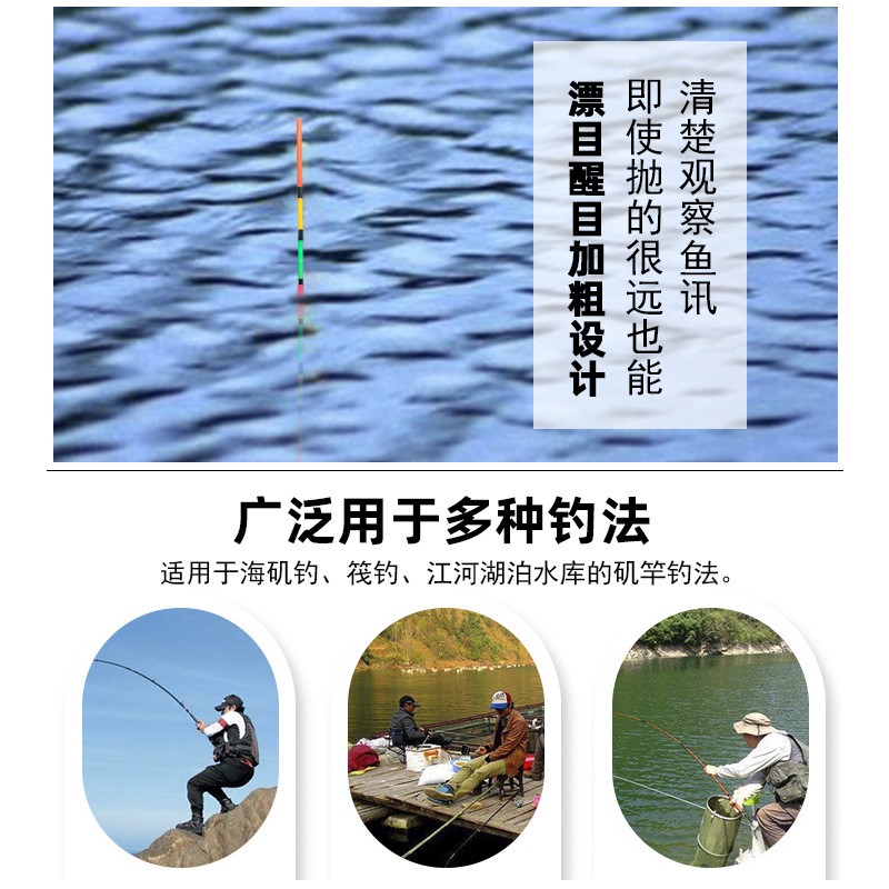 自重远投电子立漂滑漂夜光漂海钓浮漂矶钓漂阿波漂大物漂粗尾鱼漂图2