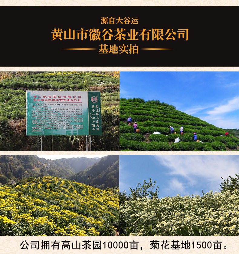 详情页_07