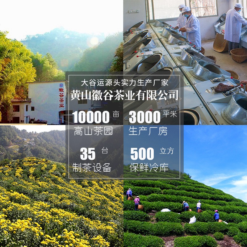 厂家供应安徽高山绿茶产地货源浓香型炒青绿茶批发250克袋装茶叶图4