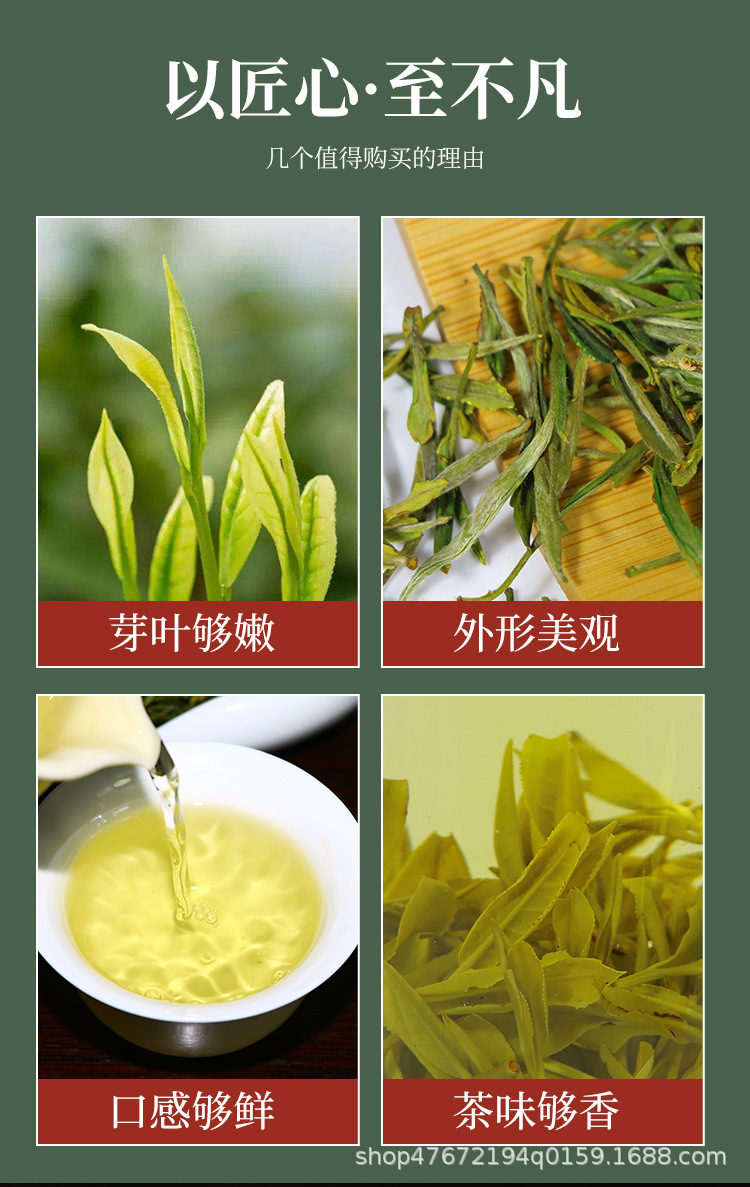绿茶1_03.jpg