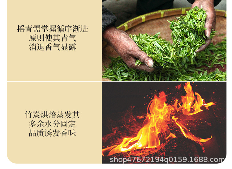 绿茶1_07.jpg