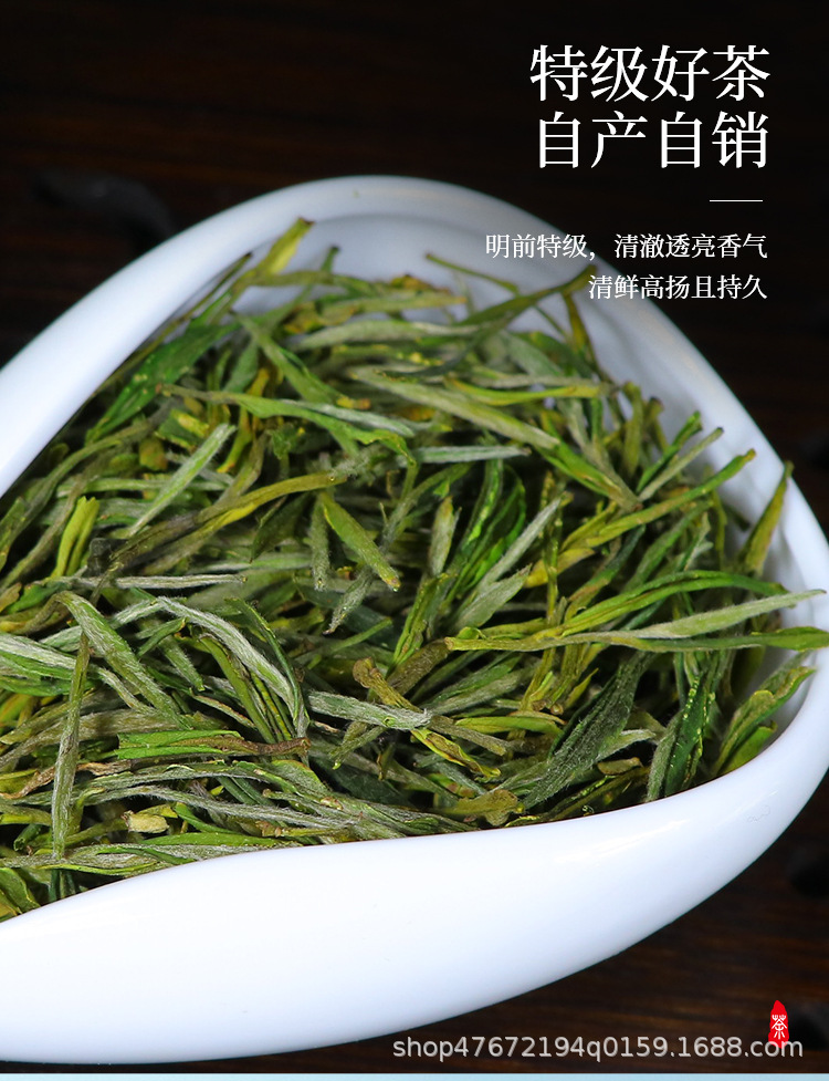 绿茶1_04.jpg