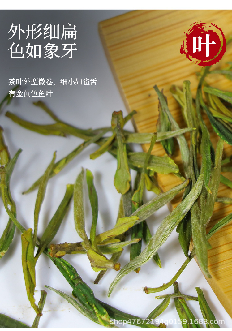 绿茶1_08.jpg
