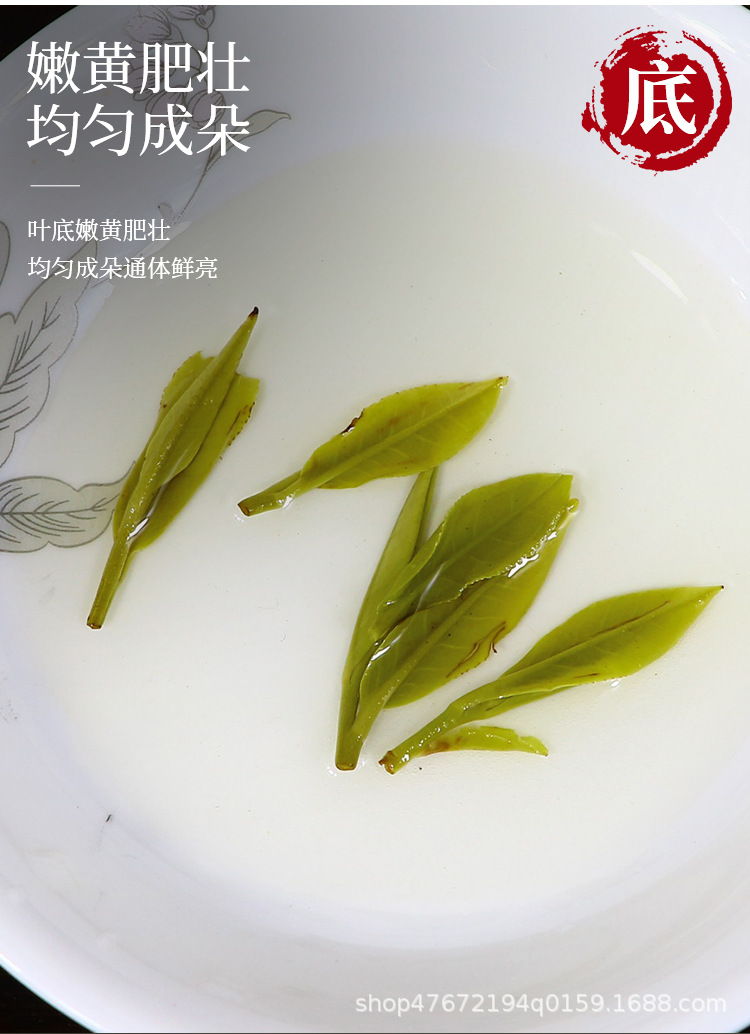 绿茶1_10.jpg