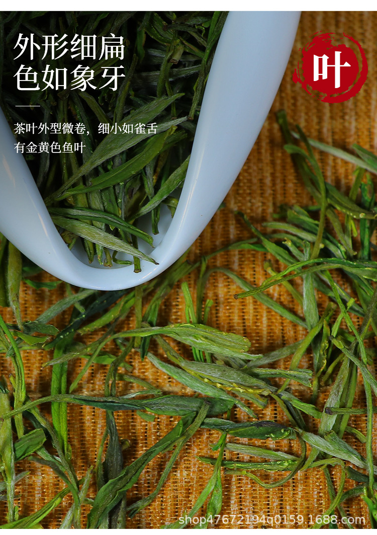 绿茶_08.jpg