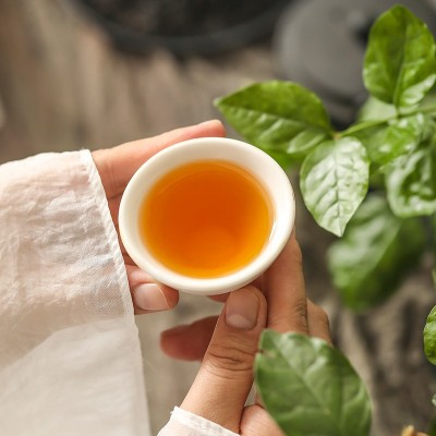 花语祁红茉莉红茶祁红双罐礼盒装茶叶祁门县厂家批发260g罐装