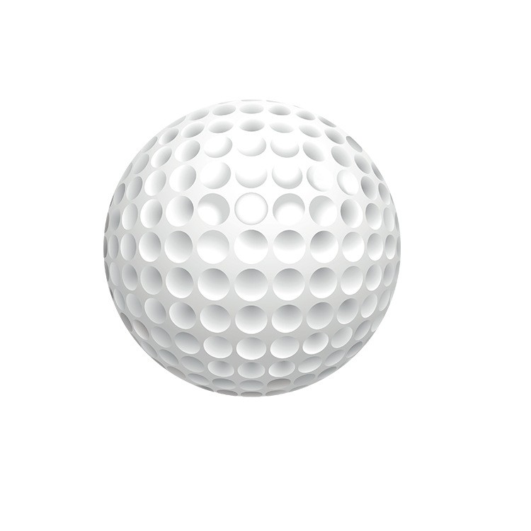 厂家供应 高尔夫球 GOLF高尔夫练习球 双层 空白 可印刷LOGO图4
