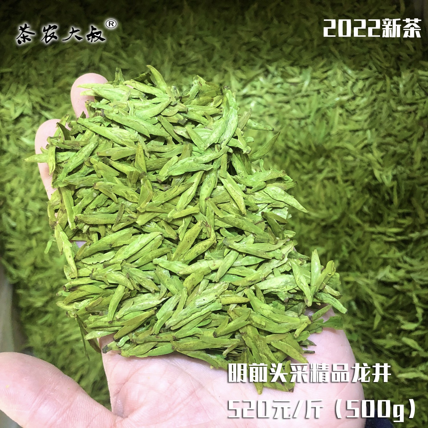 2022新茶 龙井茶 浙江龙井绿茶叶 春茶 散装批发 大佛 原产地货源图3