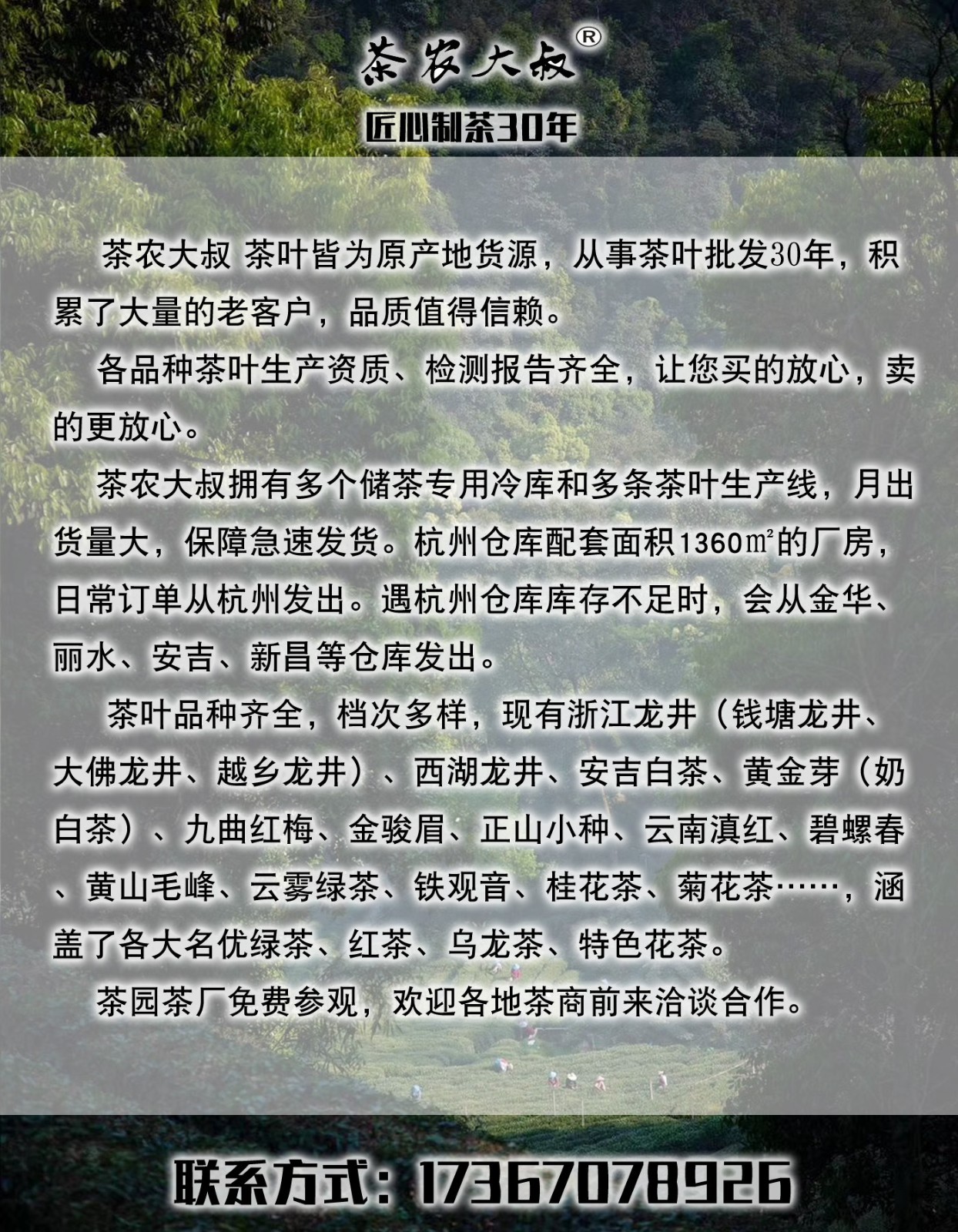 2022新茶 白茶龙井 明前头采 绿茶叶原产地货源散装批发图4