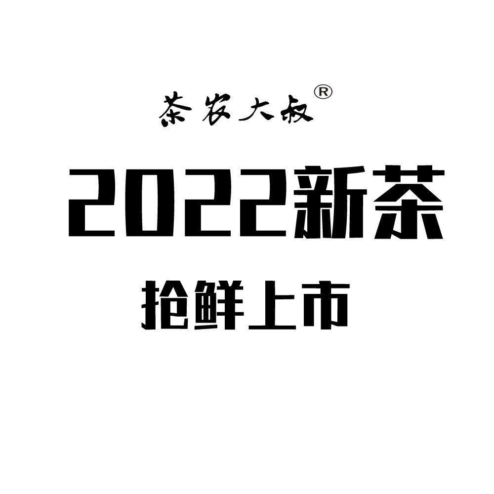 2022新茶 白茶龙井 明前头采 绿茶叶原产地货源散装批发图5