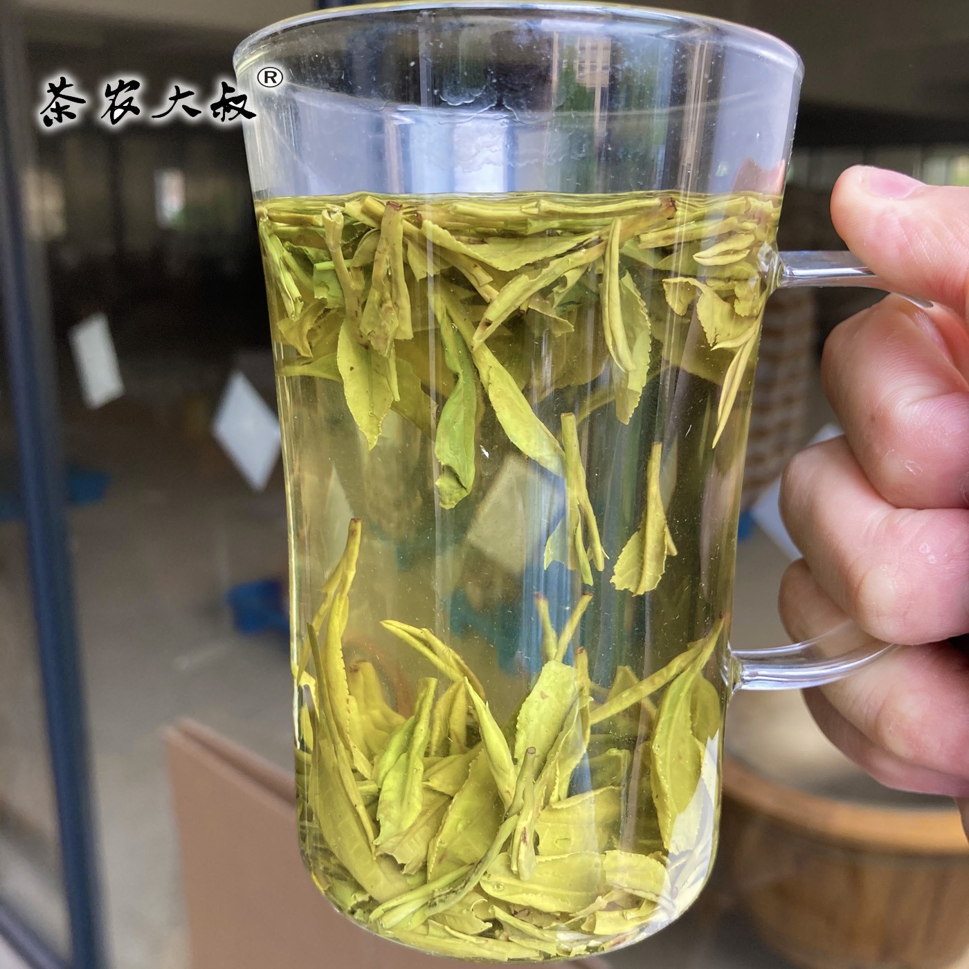 茶农大叔 黄版龙井茶 雨前二级 浓豆香 新绿茶 大佛钱塘 散茶批发图3