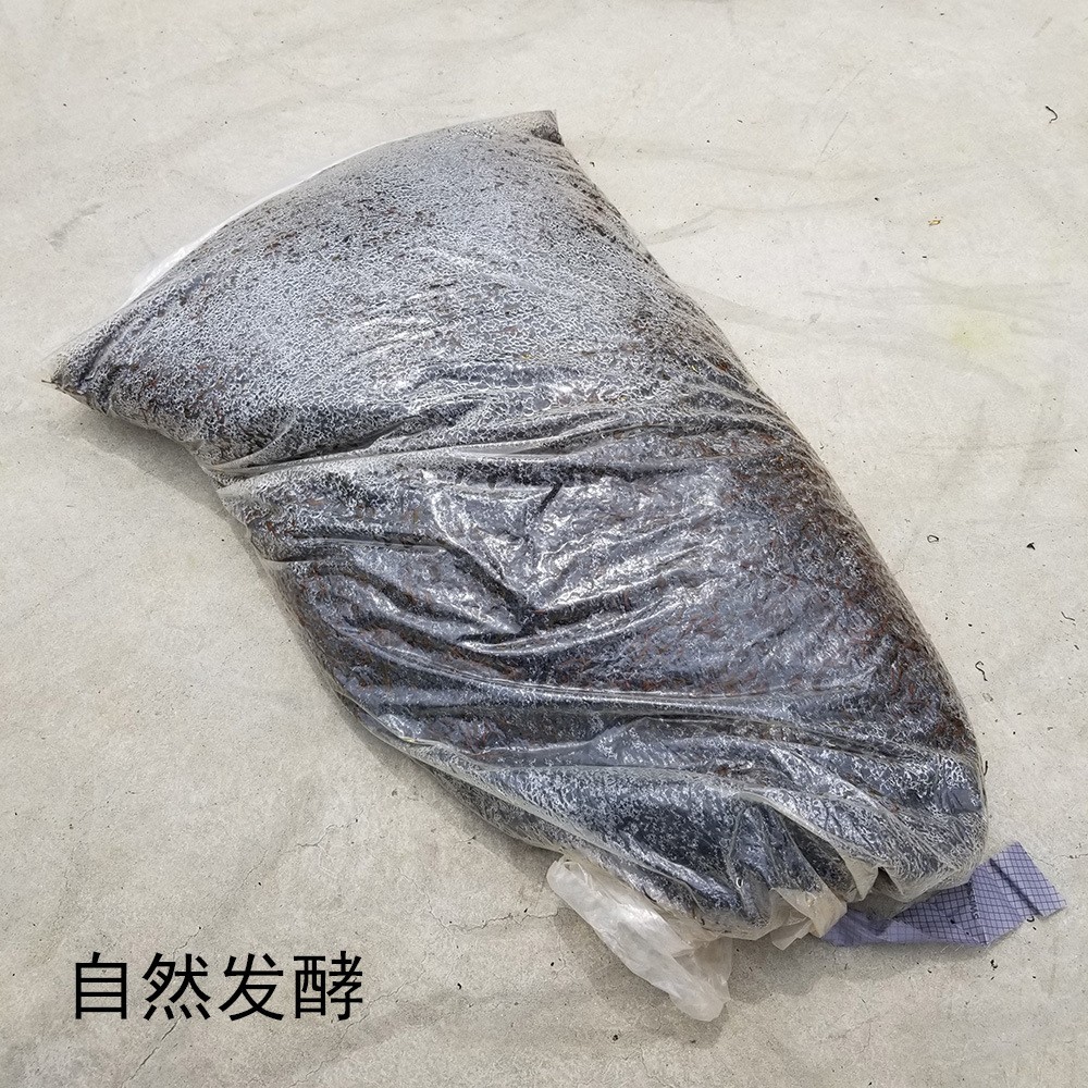 【手工九曲红梅】浓香型龙井红茶500g土法原味红茶叶直销图3