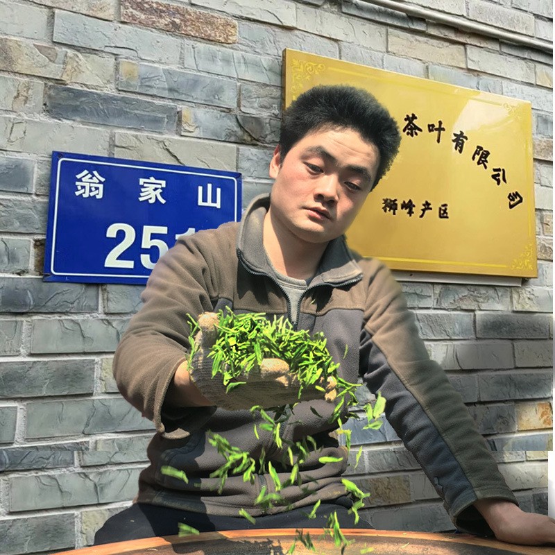 茶叶 明前龙井批发 2022新茶 杭州茶农产地直销 杭州西湖发货图4