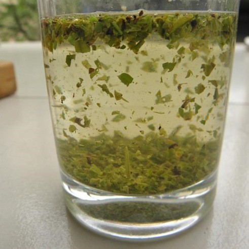 茶叶末 龙井茶末 绿茶茶末发 2022茶叶末批发 2022新茶沫子图4