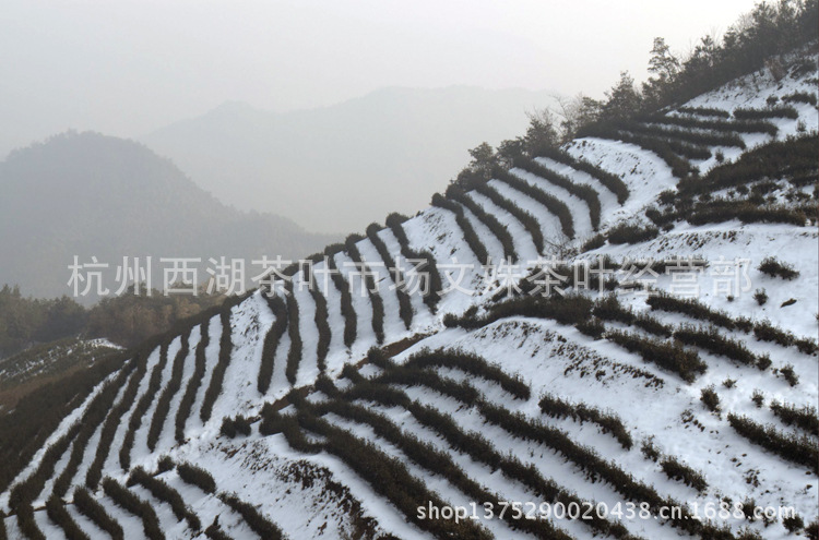 茶山3