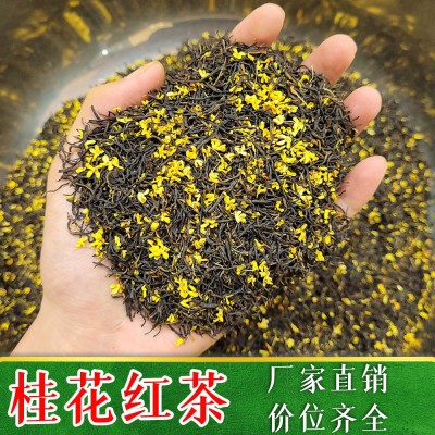 2022新茶桂花红茶春散茶叶批发走量包邮小种宜兴红茶九曲红梅500g