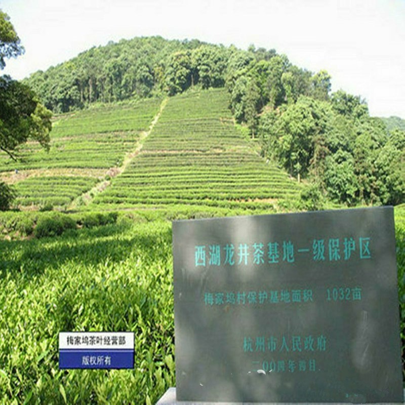 2022新茶梅家坞龙井茶明前绿茶散装批发龙井口感好500克全新上市